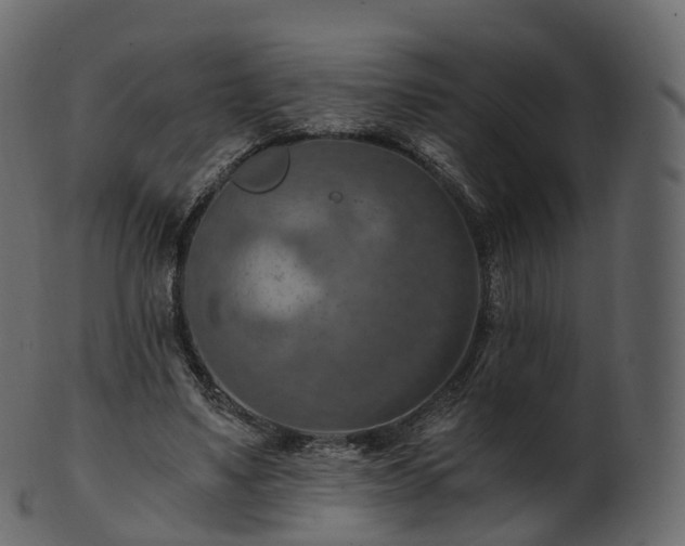 X0000101120491200807031807