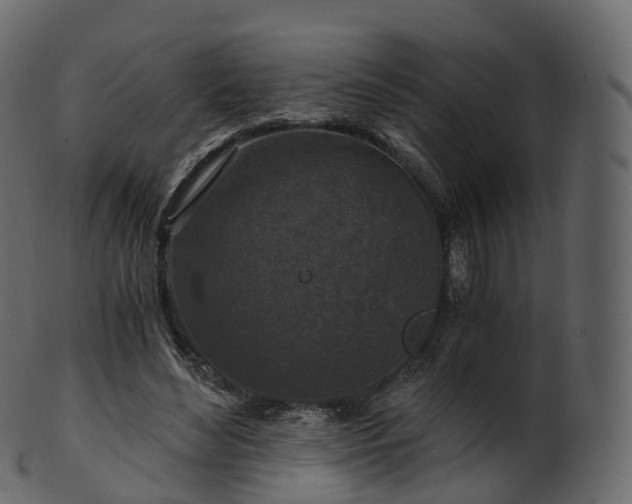X0000101120492200807031807