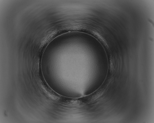 X0000101120493200807031807