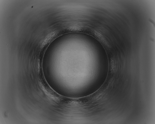 X0000101120494200807031807