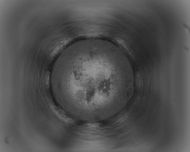 X0000101120495200807031807