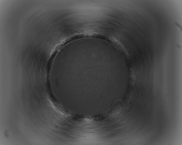 X0000101120496200807031807
