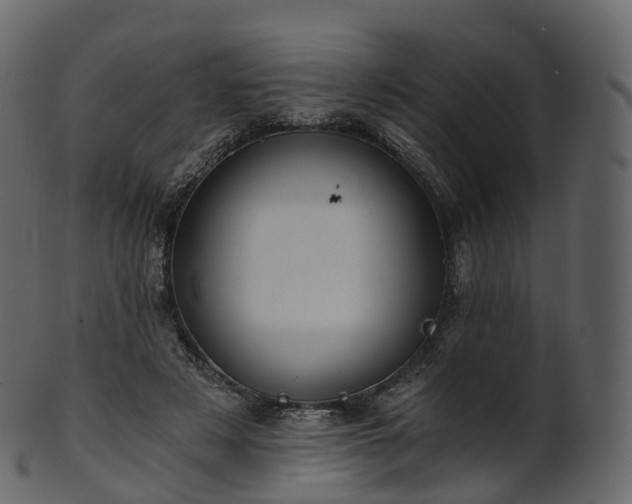 X0000101120497200807031807