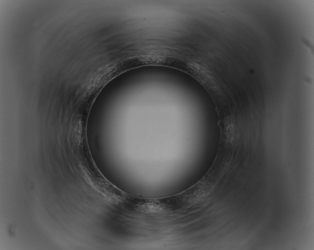 X0000101120498200807031807