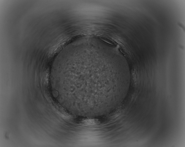 X0000101120499200807031807