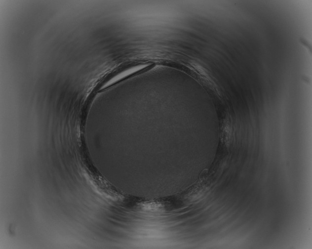 X0000101120500200807031807