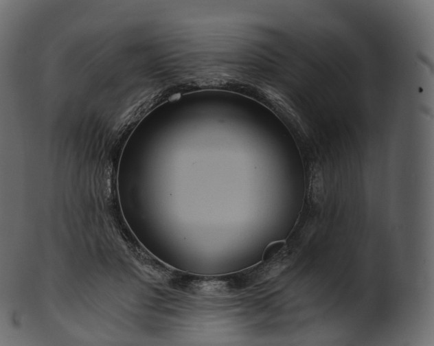 X0000101120501200807031807