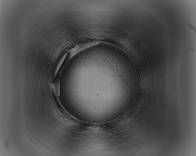 X0000101120502200807031807