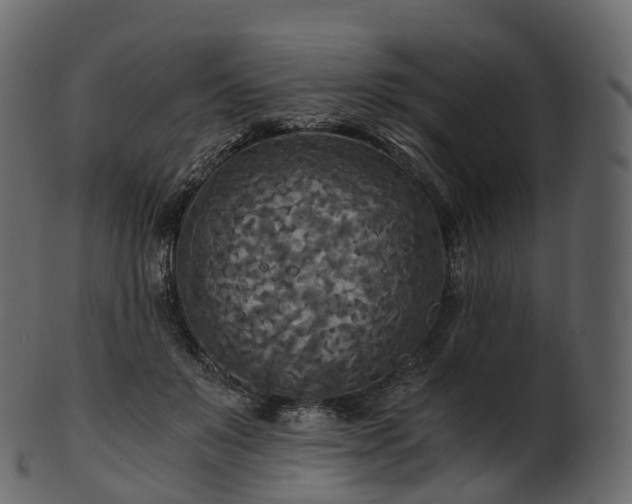 X0000101120503200807031807