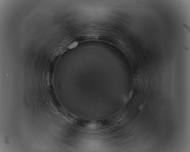 X0000101120504200807031807
