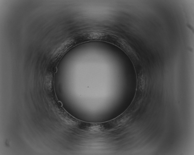 X0000101120505200807031807