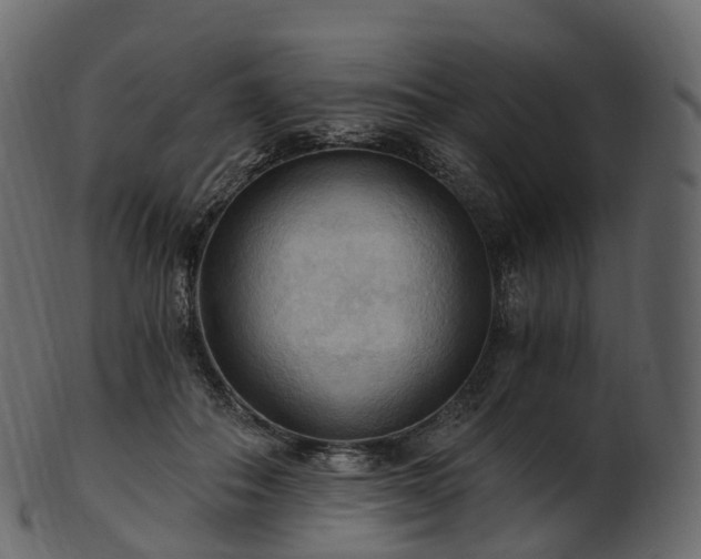 X0000101120506200807031807
