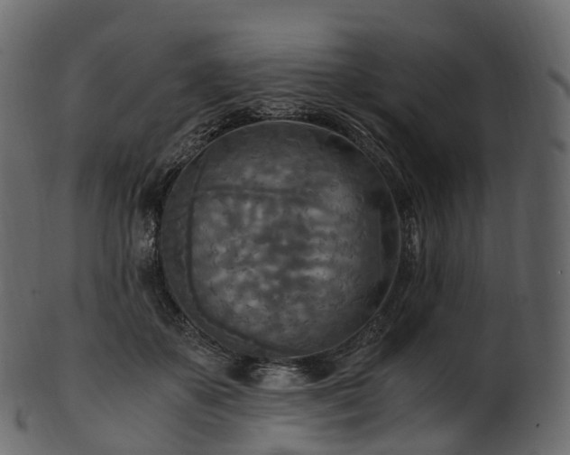 X0000101120507200807031807