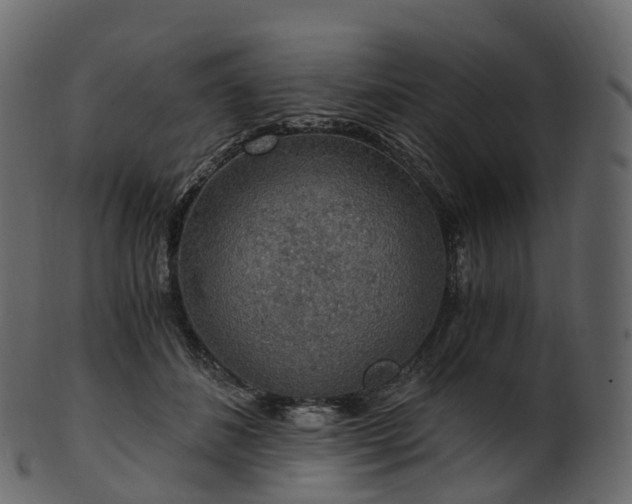 X0000101120508200807031807