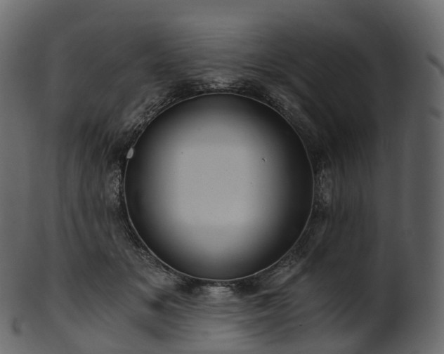 X0000101120509200807031807