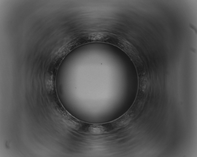 X0000101120510200807031807