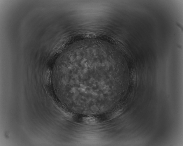 X0000101120511200807031807