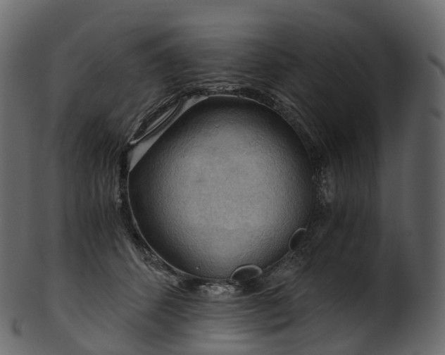X0000101120512200807031807