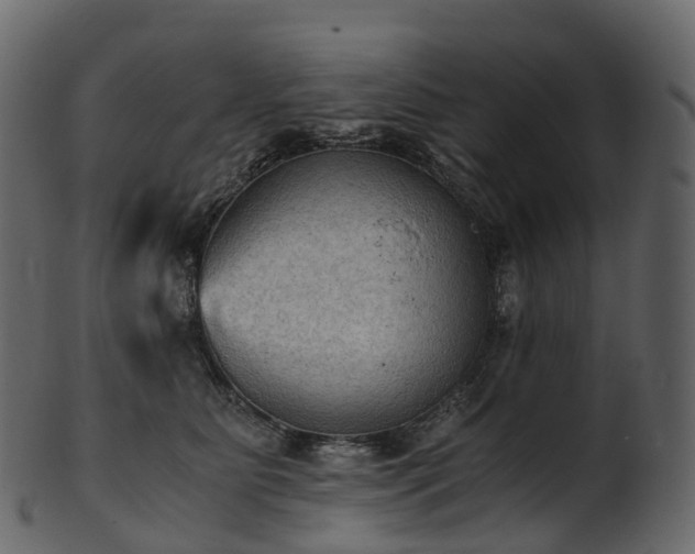 X0000101120515200807031807