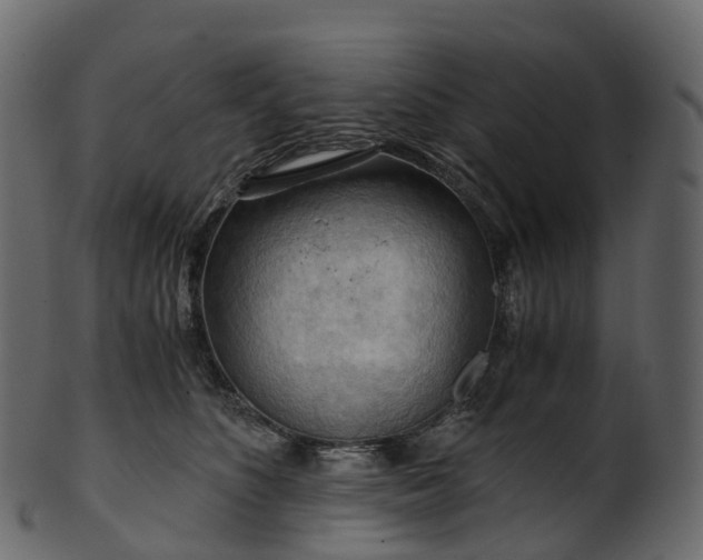 X0000101120516200807031807