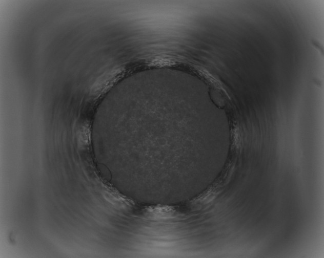 X0000101120517200807031806