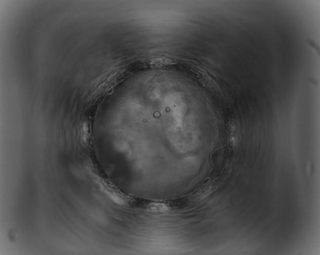 X0000101120519200807031806