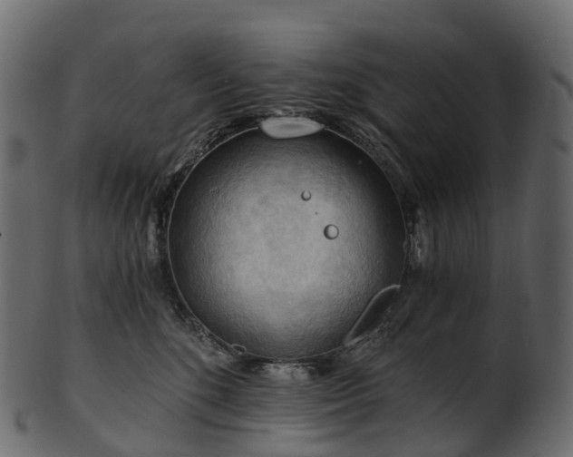 X0000101120520200807031806