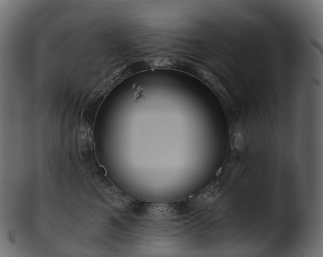 X0000101120521200807031806