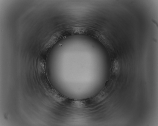 X0000101120522200807031806