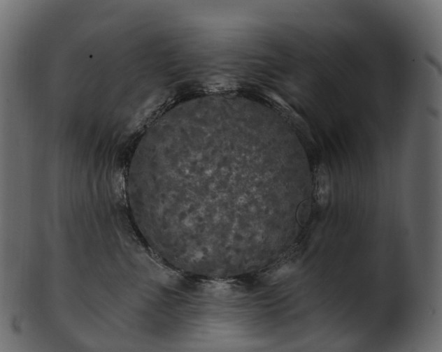 X0000101120523200807031806