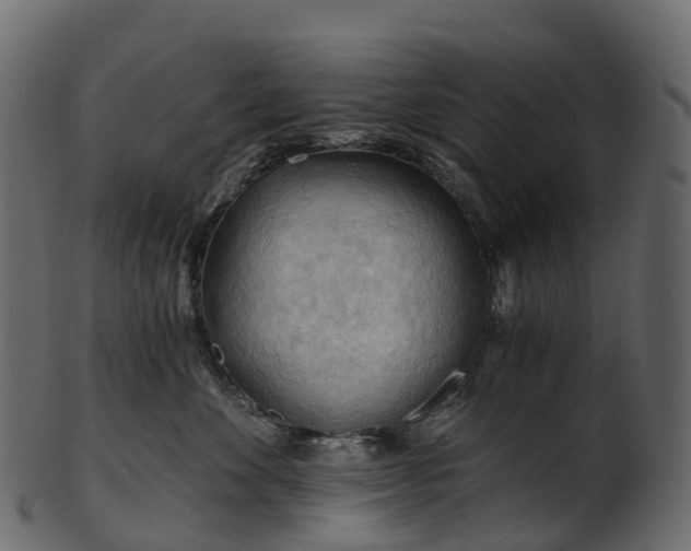 X0000101120524200807031806