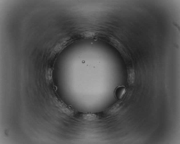 X0000101120525200807031806