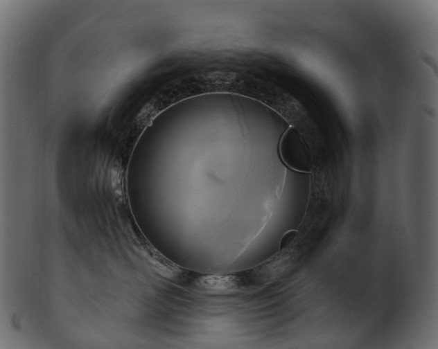 X0000101120526200807031806