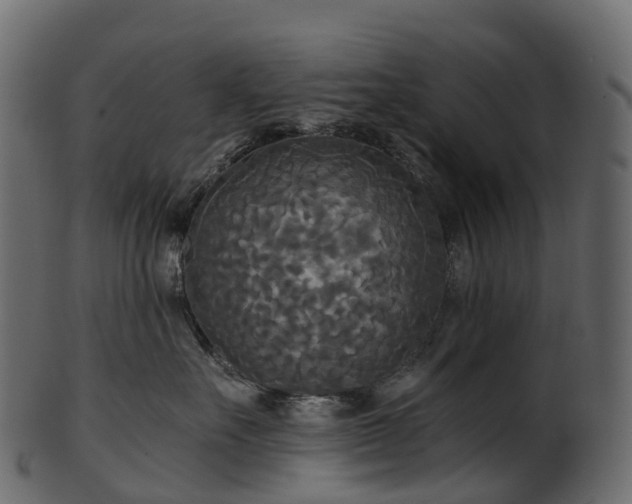 X0000101120527200807031806