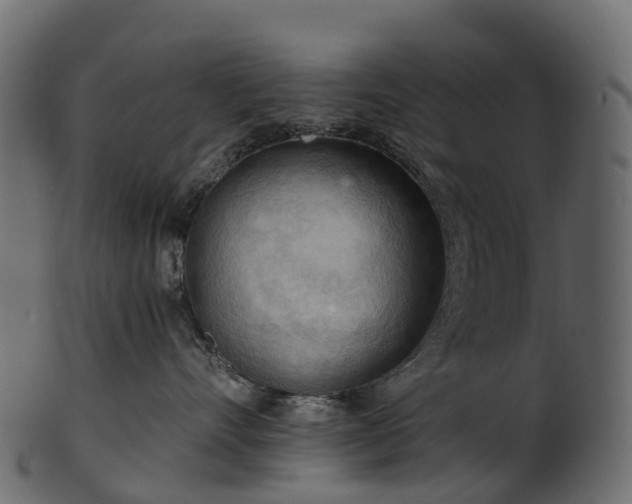 X0000101120528200807031806