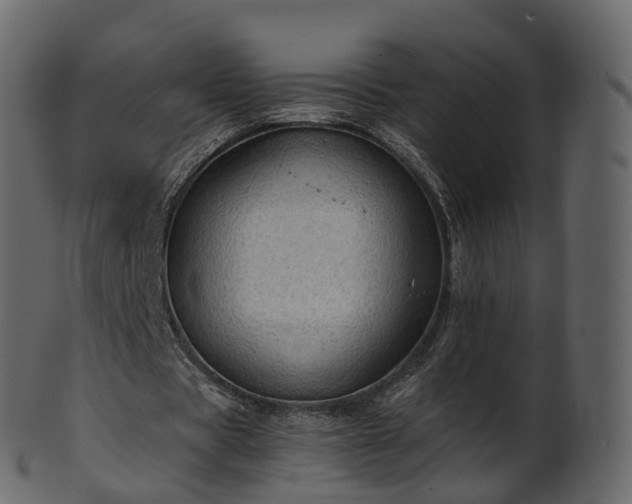 X0000101120529200807031805