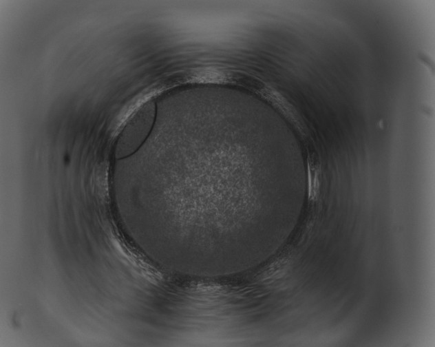 X0000101120531200807031806