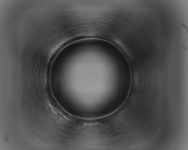 X0000101120532200807031806