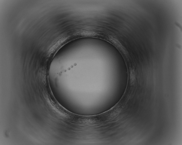 X0000101120533200807031806