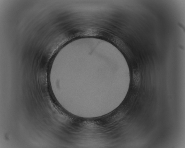 X0000101120534200807031806