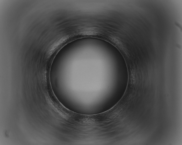X0000101120535200807031806