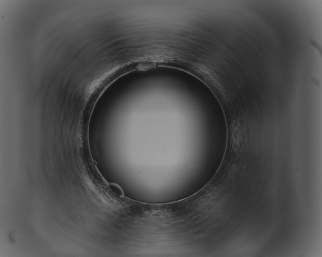 X0000101120536200807031806