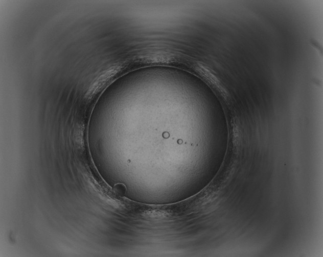 X0000101120537200807031806