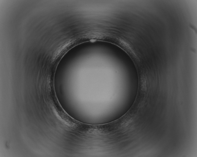 X0000101120538200807031806
