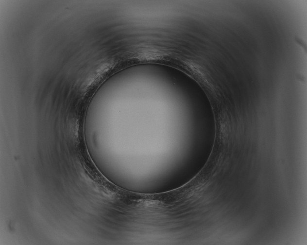 X0000101120539200807031806