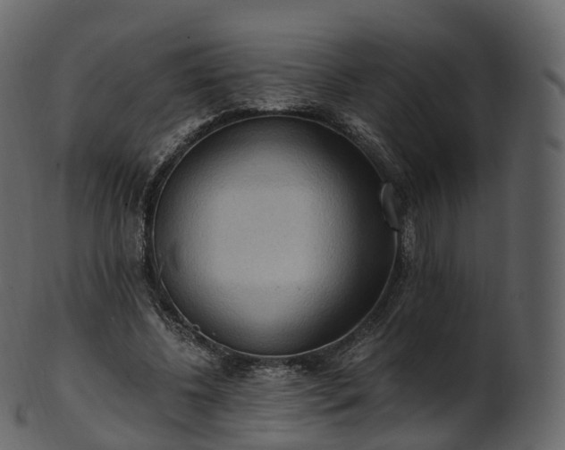 X0000101120540200807031806