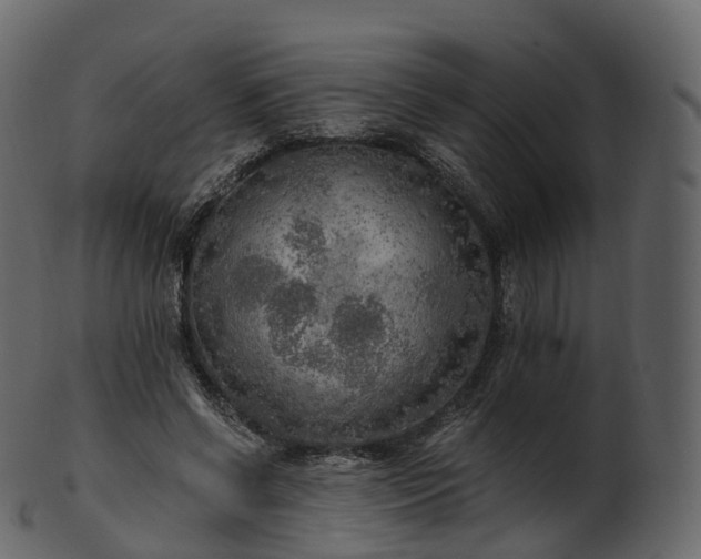 X0000101120542200807031806