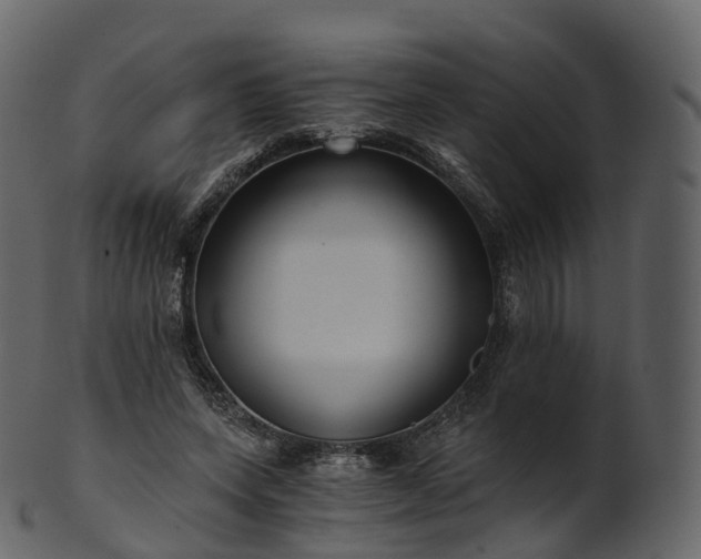 X0000101120543200807031806