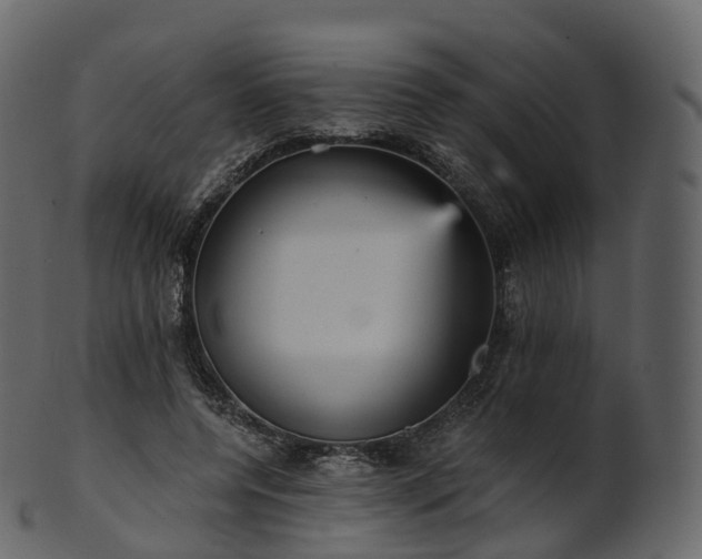 X0000101120544200807031806