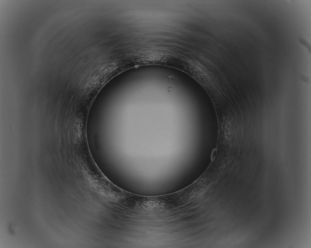 X0000101120546200807031806